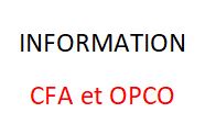 Décisions de la Ministre du travail relatives aux CFA et OPCO 