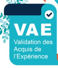 Qu'est-ce que la VAE ?