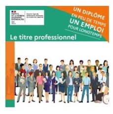 Le titre professionnel